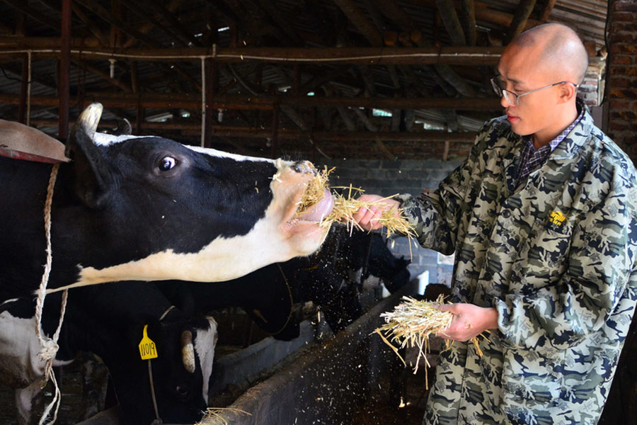 'Dr Cattleman' focusing on producing milk