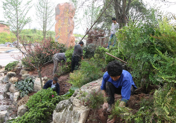 Gardeners plant trees and flowers at the Hong En Si Park in Chongqing in 2009. The park has become famous for its 57 varieties of 10,000 sweet osmanthus. He Zhongrong / for China Daily Will fresh stimulus cash spur growth?