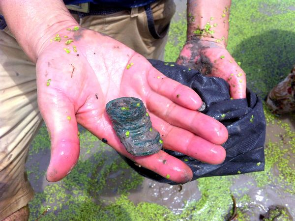The rusty ancient coins at the site where they were found in Jianhu county, Jiangsu province on Aug 4, 2013. Large amount of ancient coins were discovered during a 'dig grab' in the pool the previous day. Villagers make a splash for ancient coins