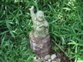 神秘的中國“養(yǎng)生術(shù)”