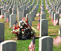 Memorial Day（美國陣亡將士紀(jì)念日）