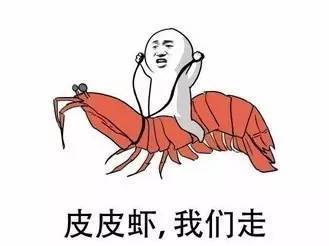 2017年最火的網(wǎng)絡(luò)流行語是這些！