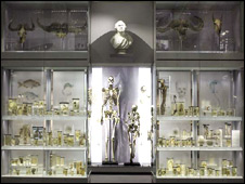 Medical Museum 醫(yī)學(xué)博物館