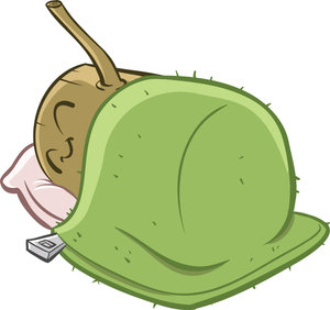 “sleep”的習(xí)慣用語