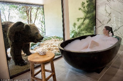 旅館？動物園？這是澳大利亞加馬拉野生動物旅館！