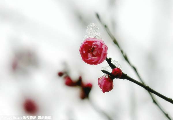 “立春”九大風(fēng)俗 雞蛋為啥能立起來？
