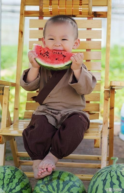 2歲萌娃吆喝自家西瓜 這個(gè)“瓜娃子”要火?。ńM圖）