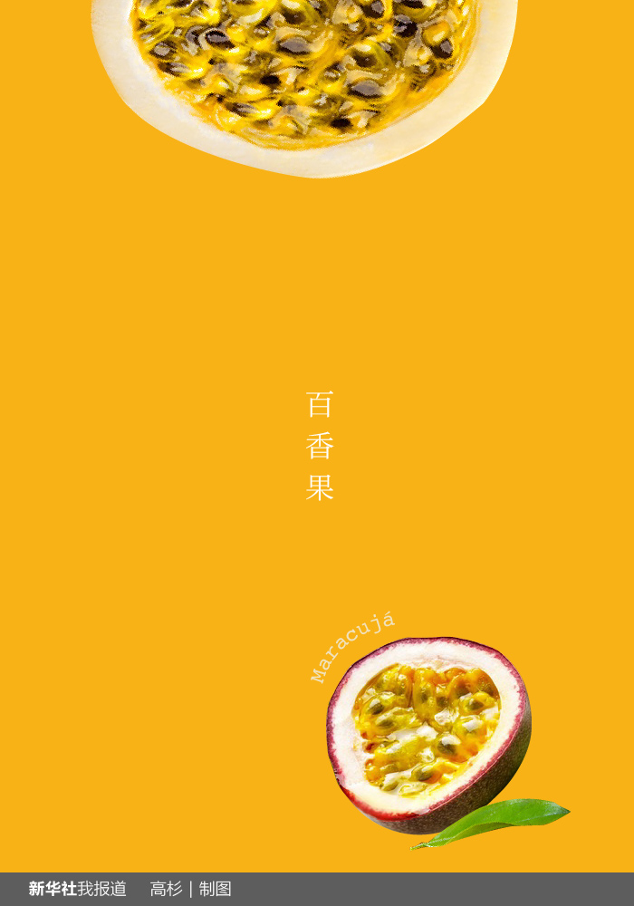“瘋狂水果城”里約：給你點顏色瞧瞧！