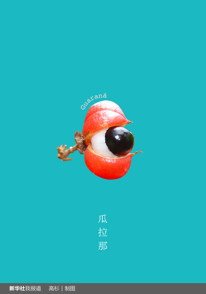 “瘋狂水果城”里約：給你點顏色瞧瞧！
