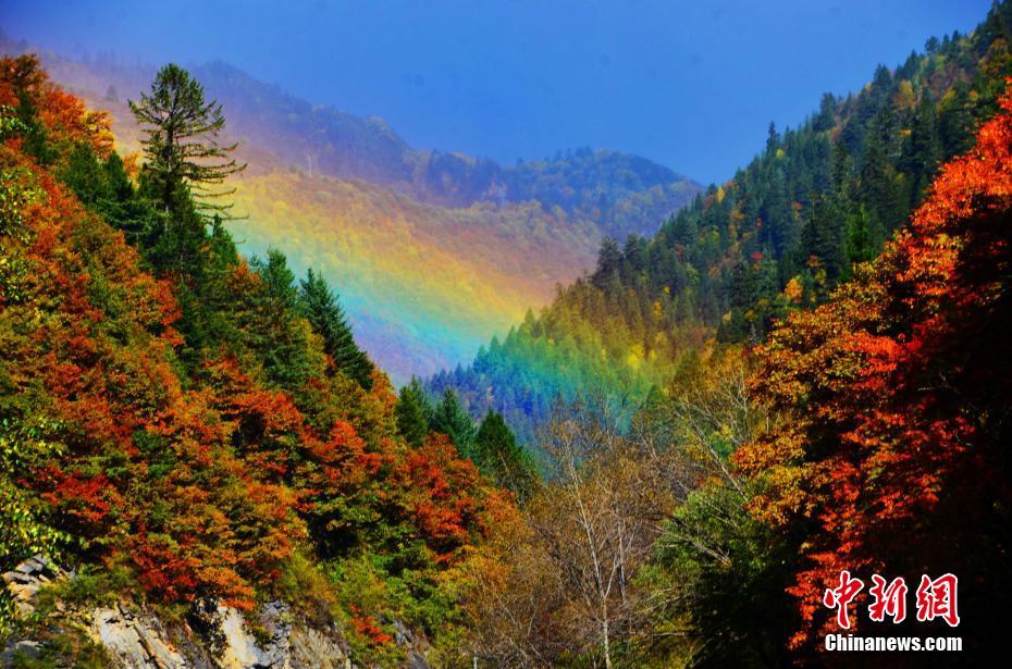 四川黑水滿山紅葉 猶如天然彩色畫(huà)卷（組圖）