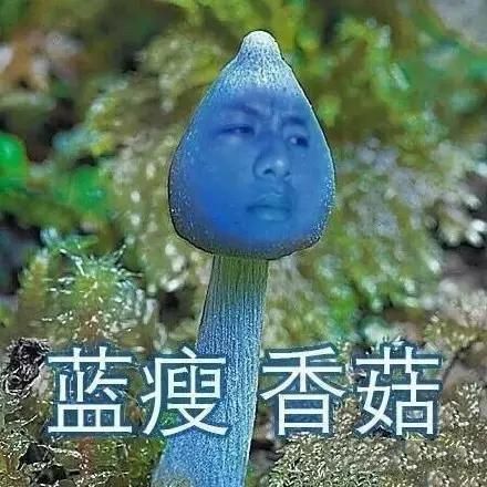 盤(pán)點(diǎn)：2016年度網(wǎng)絡(luò)熱詞你全懂嗎？（組圖）
