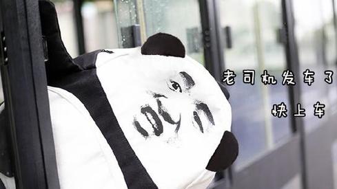 盤點：2016年度網(wǎng)絡熱詞你全懂嗎？（組圖）