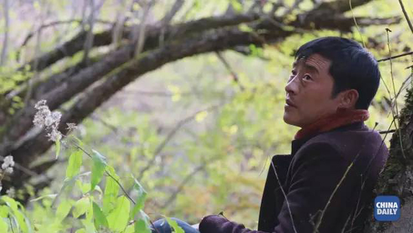 小康之路：他們曾經是伐木人，如今卻成了護林員和藏香廠老板丨解碼中國