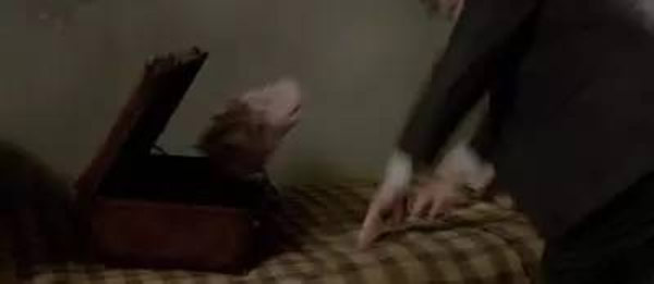 《神奇動物》里都有哪些神奇的動物？