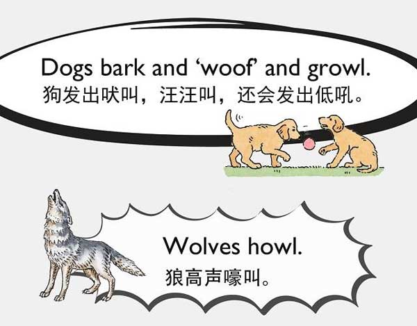 自然界中有各種聲音 如何用英語來描述動物的叫聲？