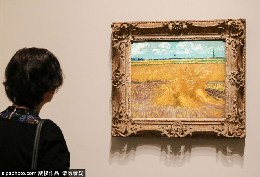 全球獨(dú)家！世界上首個(gè)梵高個(gè)人作品展在墨爾本舉辦（組圖）