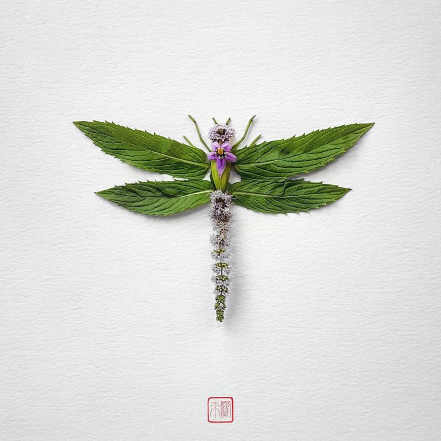 你怕蟲子嗎？來看看這些用花瓣做成的蟲子（組圖）
