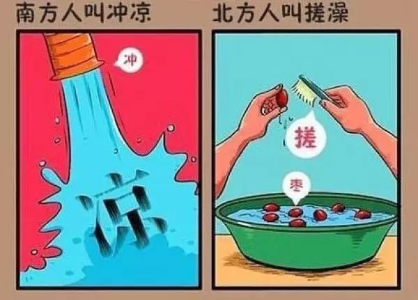 “南北差異”大討論：南方買(mǎi)菜買(mǎi)一頓，北方買(mǎi)菜買(mǎi)一噸？