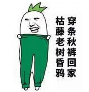 秋冬御寒指南：秋褲穿不穿，這是個問題