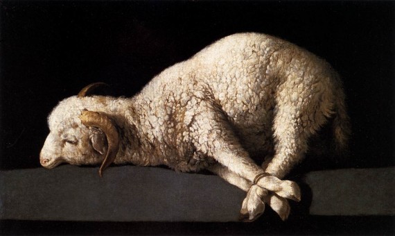 替罪羊（scapegoat）、敗家羊（black sheep），為何英語中背鍋的總是羊