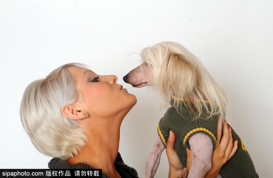 人不如狗系列！走進(jìn)全世界最奢華的狗狗生活（組圖）