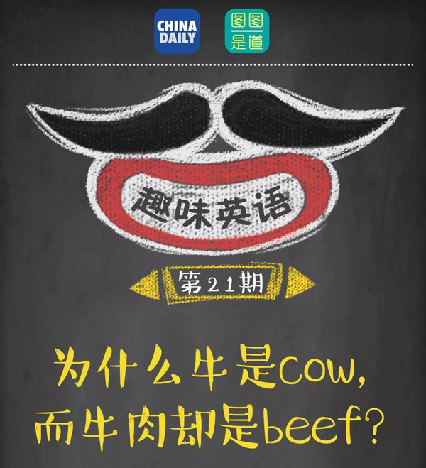 為什么牛是cow，而牛肉卻是beef？