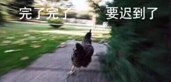 大學(xué)四年，我get了這些神技能