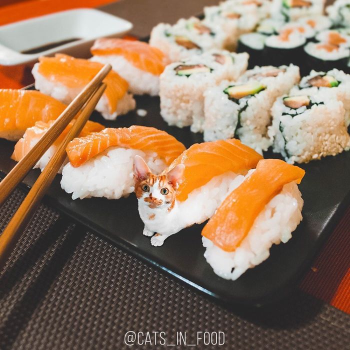妙趣擋不?。“涯阕類鄣呢圥進(jìn)你最愛的美食（組圖）