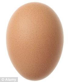美國(guó)驚現(xiàn)2.1厘米雞蛋 或?yàn)槭澜缱钚? width=