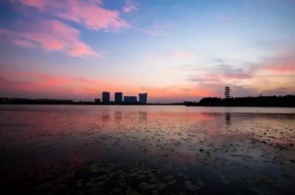 Zhangjiagang honored as one of China's