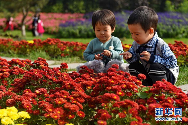 Tackle frauds targeting tourists