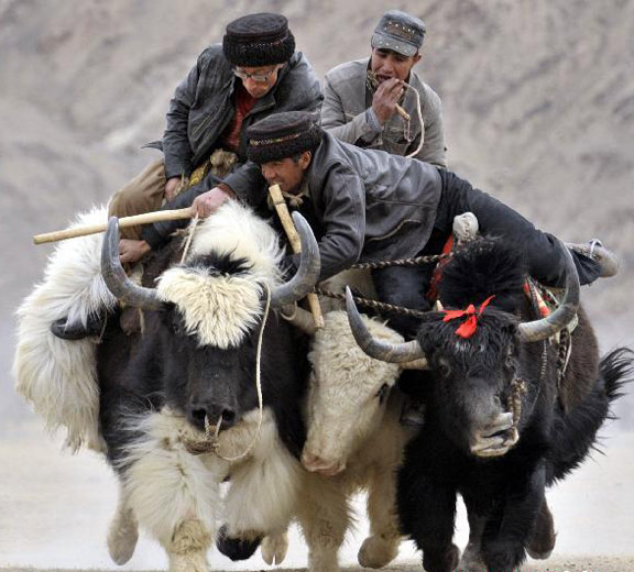 Set for spring, goat grabbing, Nowruz festival, Iranian calendar, Herdsmen, Tajik, ethnic groups, Xinjiang, Uygur, Ethnic groups in Xinjiang set for spring Ethnic groups in Xinjiang set for spring
