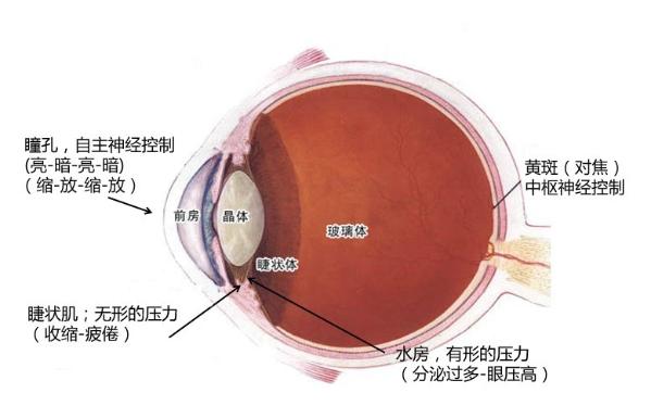 明基不閃屏關(guān)愛(ài)兒童眼部健康 這個(gè)兒童節(jié)把“愛(ài)”帶走