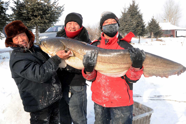 Winter fishing festival marked in NE China Winter fishing festival marked in NE China