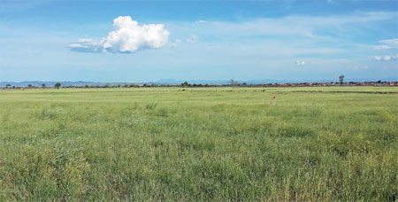 Green mountain revitalized