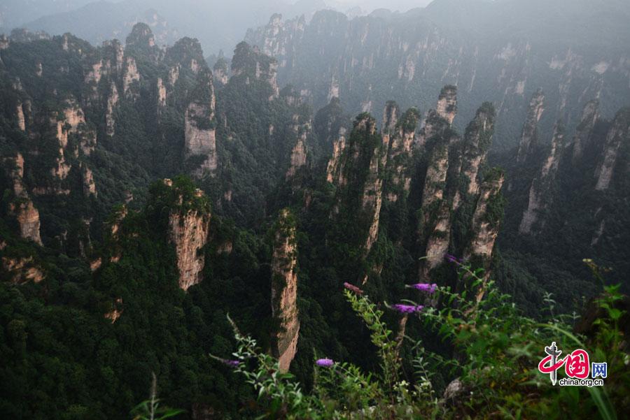 Wulingyuan Geopark in China's Zhangjiajie
